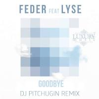 Feder feat. Lyse - Goodbye.flac