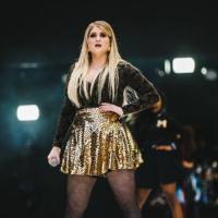 Meghan Trainor - Me Too.flac