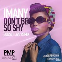 Imany - Dont Be So Shy (Filatov & Karas Remix).flac
