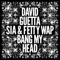 David Guetta feat. Sia & Fetty Wap - Bang My Head.flac