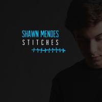 Shawn Mendes - Stitches.flac