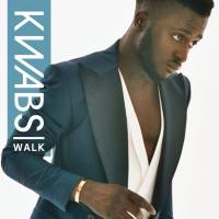 Kwabs - Walk.flac