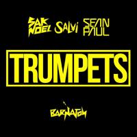 Sak Noel & Salvi feat. Sean Paul - Trumpets.flac