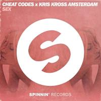 Cheat Codes & Kris Kross Amsterdam - Sex.flac