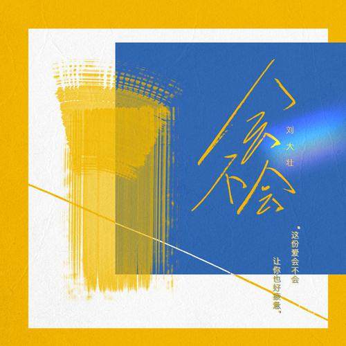 刘大壮 - 会不会 (DJ版).flac