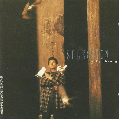 张学友 - 等你等到我心痛.flac