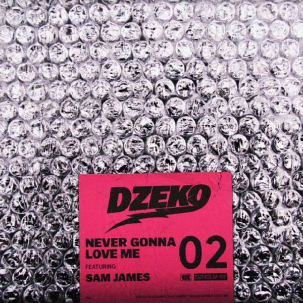 Dzeko feat. Sam James - Never Gonna Love Me