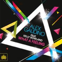 Alex Gaudino vs Nari & Milani - MangoMan (Filatov & Karas Remix)