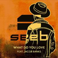 Seeb feat. Jacob Banks - What Do You Love