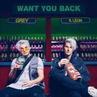 Grey feat. Leon - Want You Back.flac
