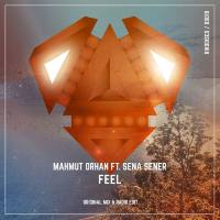 Mahmut Orhan feat. Sena Sener - Feel.flac