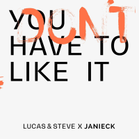 Lucas & Steve & Janieck - You Dont Have To Like It.flac