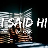 Amy Shark - I Said Hi.flac