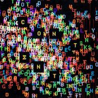 Joywave - It's a Trip!.flac