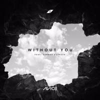Avicii feat. Sandro Cavazza - Without You.flac