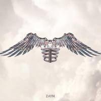 ZAYN - If I Got You.flac