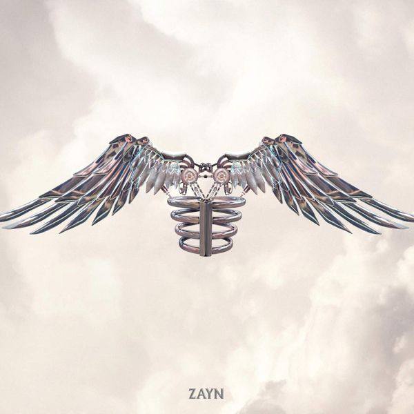 ZAYN - If I Got You.flac