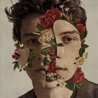 Shawn Mendes - In My Blood.flac