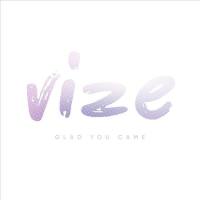 Vize - Glad You Came.flac