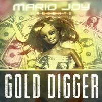 Mario Joy - Gold Digger (Radio Edit).flac
