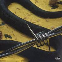 Post Malone feat. 21 Savage - rockstar.flac