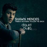 Shawn Mendes - There's Nothing Holdin' Me Back.flac