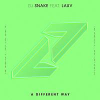 DJ Snake feat. Lauv - A Different Way.flac