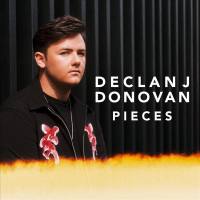 Declan J Donovan - Pieces.flac