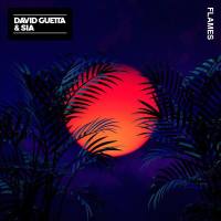 David Guetta & Sia - Flames.flac
