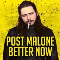 Post Malone - Better Now.flac