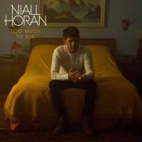 Niall Horan - Too Much To Ask.flac