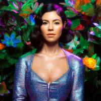 Marina and the Diamonds - Handmade Heaven.flac