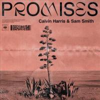 Calvin Harris & Sam Smith - Promises.flac
