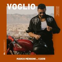 Marco Mengoni - Voglio.flac