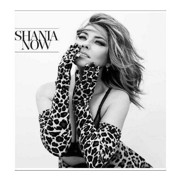 Shania Twain - More Fun.flac