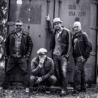 Stiftelsen - Darling.flac