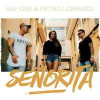 Kay One feat. Pietro Lombardi - Senorita.flac