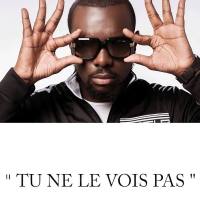 Maitre Gims & Dadju - Tu ne le vois pas.flac