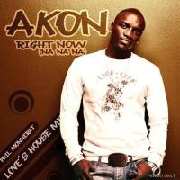 Akon - Right Now (Na Na Na).flac
