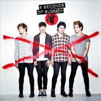 5 Seconds Of Summer  -  Want You Back.flac