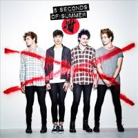 5 Seconds Of Summer - Want You Back.flac