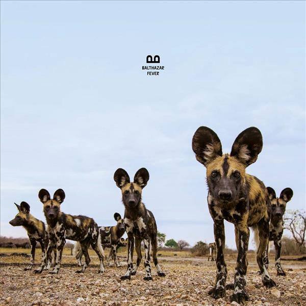 Balthazar - Wrong Vibration.flac