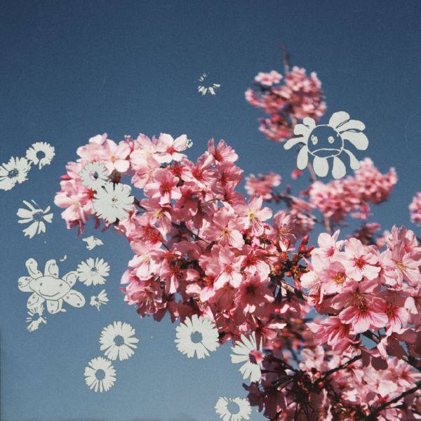 DVR - friends - demo.flac