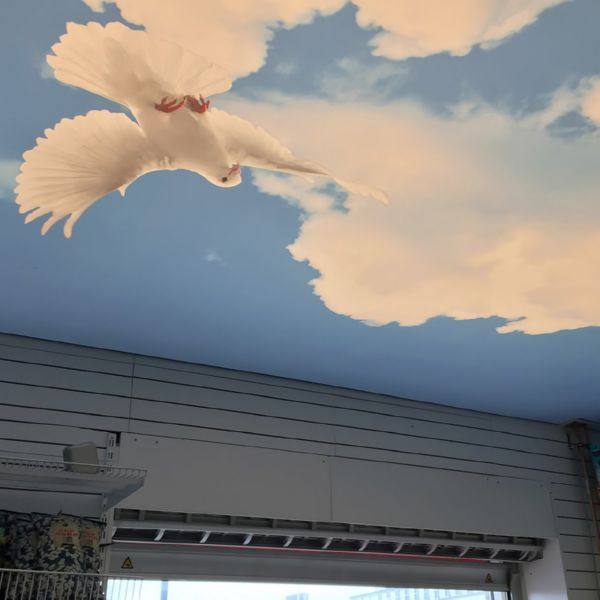 When Saints Go Machine - Emotional.flac