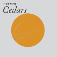 Field Works - La’āli’.flac