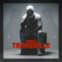 Amino - Tranquille.flac