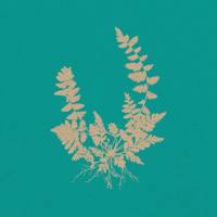 ParkWalker - Memento.flac