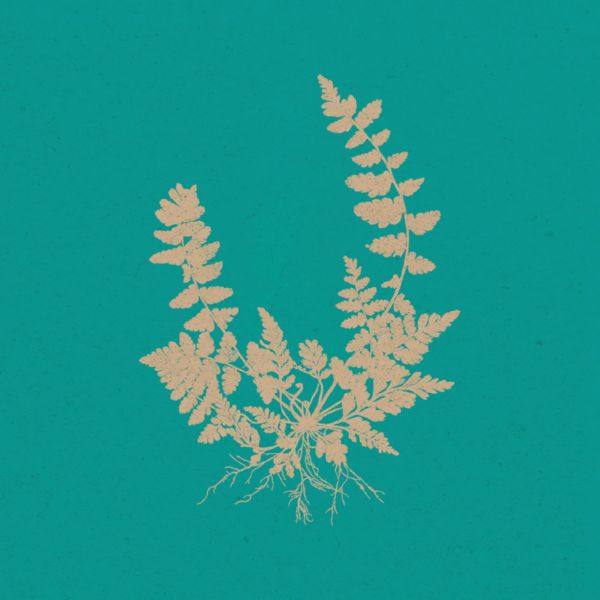 ParkWalker - Memento.flac