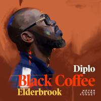 Black Coffee, Diplo, Elderbrook - Never Gonna Forget.flac
