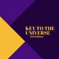 DJ Fishbone - Key to the Universe - Radio Cut.flac